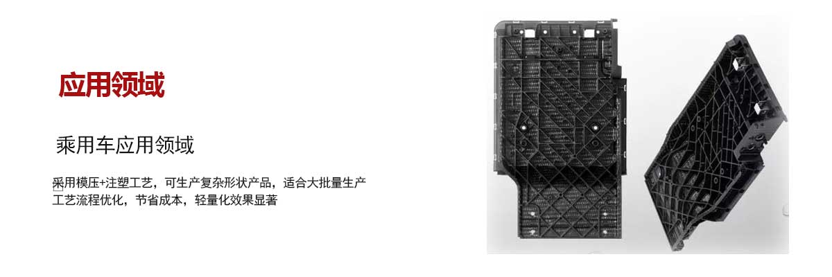 乘用車(chē)應用領域(yu)